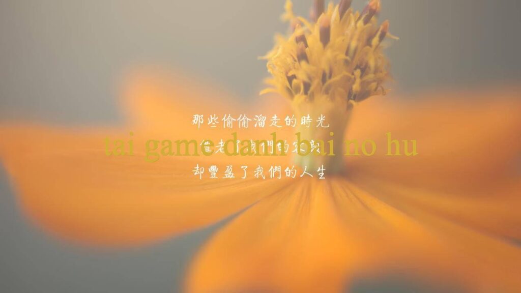 Khám Phá Xổ Số Kiến Thiết Trà Vinh – Hành Trình Đến Thành Công