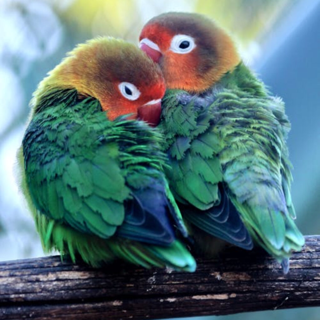 Khám Phá Mua Bán Bất Đông Sản Hà Nội – Trải Nghiệm Cá Cược Trực Tuyến Hàng Đầu Mang Lại Đẳng Cấp Mới