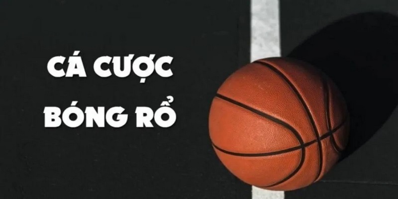 Khám Phá Thế Giới Đầy Kỳ Diệu Của Xe Tay Ga Dưới 50 Triệu Từ Lịch Sử Đến Tiềm Năng Tương Lai