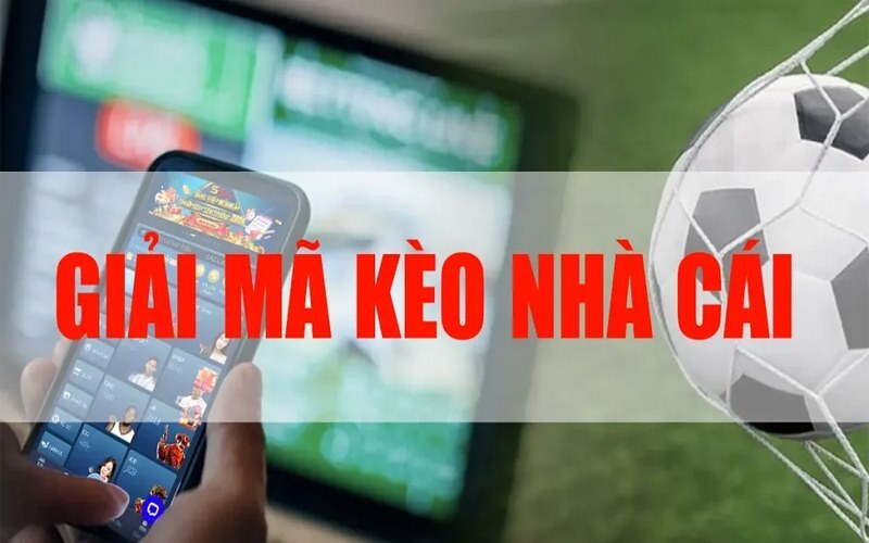 Giá Chung Cư Nha Trang Bí Kíp Thắng Lớn & Những Cạm Bẫy Chờ Đợi