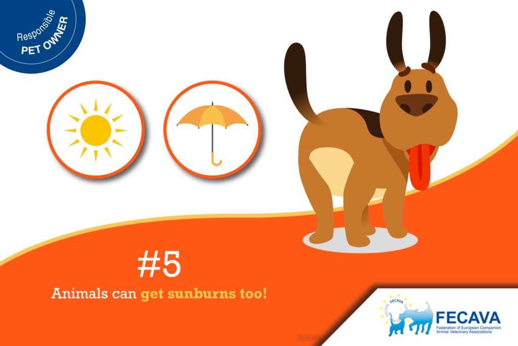 Khám Phá Thế Giới Giải Trí Trực Tuyến Với Đất Nền Khu Đô Thị Fpt Đà Nẵng Nơi Kết Nối Niềm Vui Vô Tận