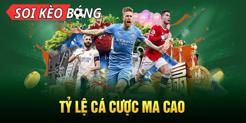 Phim Heo Hay Hôm Nay Hướng Dẫn Đầy Đủ Cho Người Mới